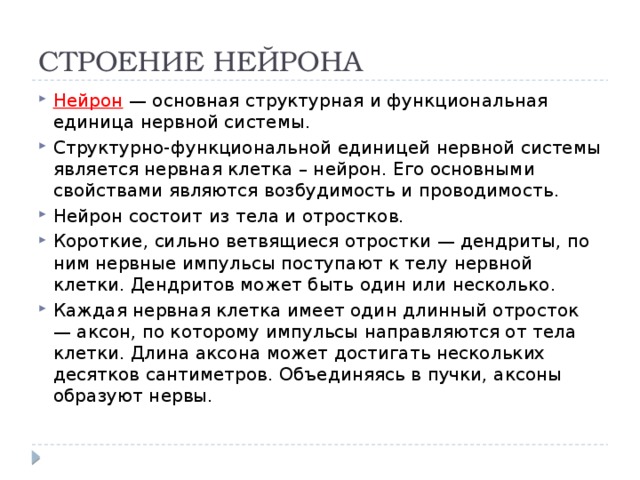 СТРОЕНИЕ НЕЙРОНА Нейрон — основная структурная и функциональная единица нервной системы. Структурно-функциональной единицей нервной системы является нервная клетка – нейрон. Его основными свойствами являются возбудимость и проводимость. Нейрон состоит из тела и отростков. Короткие, сильно ветвящиеся отростки — дендриты, по ним нервные импульсы поступают к телу нервной клетки. Дендритов может быть один или несколько. Каждая нервная клетка имеет один длинный отросток — аксон, по которому импульсы направляются от тела клетки. Длина аксона может достигать нескольких десятков сантиметров. Объединяясь в пучки, аксоны образуют нервы. 