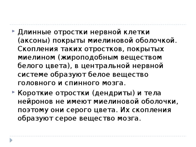 Длинные отростки нервной клетки (аксоны) покрыты миелиновой оболочкой. Скопления таких отростков, покрытых миелином (жироподобным веществом белого цвета), в центральной нервной системе образуют белое вещество головного и спинного мозга. Короткие отростки (дендриты) и тела нейронов не имеют миелиновой оболочки, поэтому они серого цвета. Их скопления образуют серое вещество мозга. 