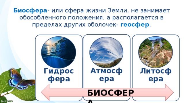 Биосфера -  или сфера жизни Земли, не занимает обособленного положения, а располагается в пределах других оболочек- геосфер . Атмосфера Литосфера Гидросфера БИОСФЕРА 