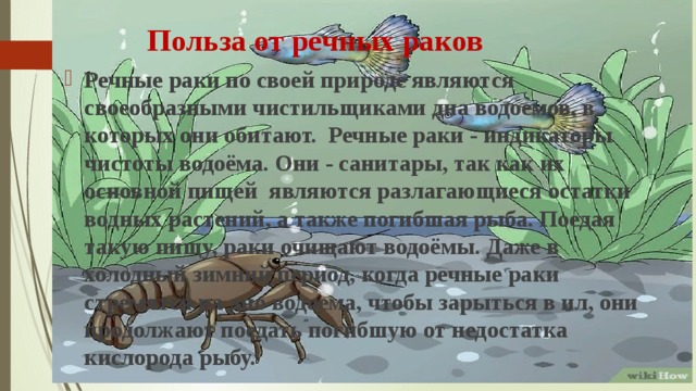 Проект про рака