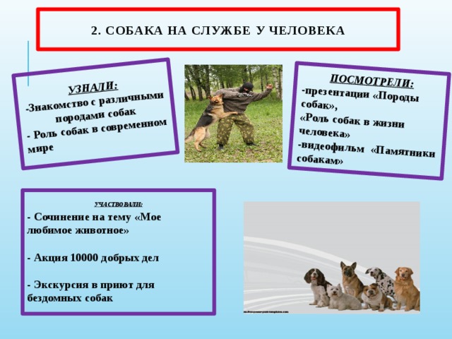 Роль собаки в жизни человека проект