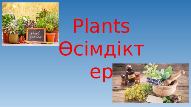 Plants Өсімдіктер 