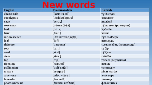 New words English Pronunciation chamomile Kazakh ['kæməmaɪl] eucalyptus түймедақ [ˌjuːk(ə)'lɪptəs] sage эвкалипт [seɪʤ] rosemary bark шалфей ['rəuzm(ə)rɪ] гүлшетен (розмарин) [bɑːk] fruit қабығы [fruːt] inflorescence жеміс [ˌɪnflɔː'res(ə)n(t)s] leaf гүл шоғыры [li:f] rhizome root жапырақ ['raɪzəum] тамырсабақ (корневище) [ruːt] seed түбір [siːd] stem тұқым [stem] top сабағы [tɔp] ripening pollination төбесі (верхушка) [raipəniꬼ] жетілу [pɔli’neiʃn] mature aloe vera тозандану [mətȷuə] пісіп жетілу lavender [æləu viərə] алое вера [lævində] photosynthesis лаванда [fəutəu’sinƟisis] фотосинтез 