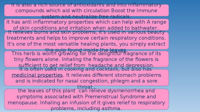 It is also a rich source of antioxidants and into inflammatory compounds which aid with circulation Boost the Immune system and neutralize free radicals. It has anti inflammatory properties which can help with A range of skin conditions and irritation when added to bathwater.. It relieves burns and skin problems, it's used in various beauty treatments and helps to improve certain respiratory conditions. It's one of the most versatile healing plants, you simply extract the pulp found inside the leaves . This herb is worth growing for the delightful fragrance of its tiny flowers alone. Inhaling the fragrance of the flowers is sufficient to get relief from headache and depression. It is often used in cooking and cocktails, but also has medicinal properties . It relieves different stomach problems and is indicated for nasal congestion, phlegm and a sore throat.. the leaves of this plant can relieve dysmenorrhea and symptoms associated with Premenstrual Syndrome and menopause. Inhaling an infusion of it gives relief to respiratory problems, including asthma. 