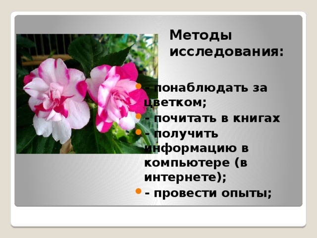 Методы исследования:   - понаблюдать за цветком; - почитать в книгах - получить информацию в компьютере (в интернете); - провести опыты; 