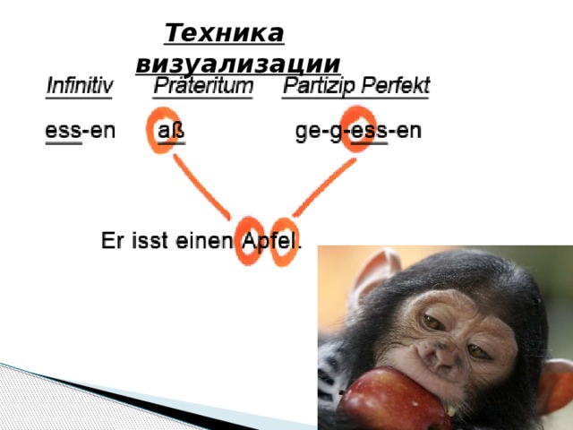 Техника визуализации   