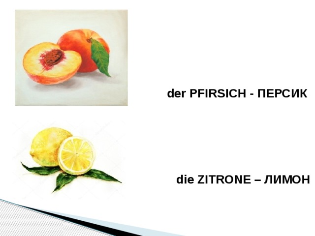  der PFIRSICH - ПЕРСИК die ZITRONE – ЛИМОН 