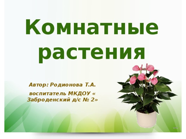 Презентация комнатные растения 2