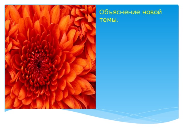 Объяснение новой темы. 