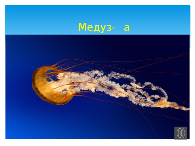  Медуз-         а 