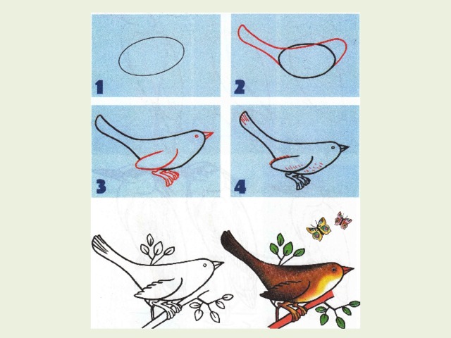 Рисуем птицу поэтапно презентация 2 класс. Как нарисовать птицу(. Рисунок птицы 2 класс. Весенние птицы поэтапное рисование. Поэтапное рисование птицы 2 класс.