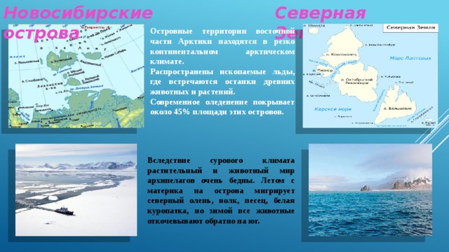 План описания остров. Остров Котельный, архипелага Новосибирские острова. Новосибирские острова географическое положение. Карта новосибирских островов в Арктике. О. котельного в архипелаге новосибирских островов..