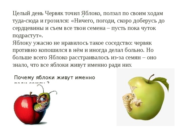 Целый день Червяк точил Яблоко, ползал по своим ходам туда-сюда и грозился: «Ничего, погоди, скоро доберусь до сердцевины и съем все твои семена – пусть пока чуток подрастут».  Яблоку ужасно не нравилось такое соседство: червяк противно копошился в нём и иногда делал больно. Но больше всего Яблоко расстраивалось из-за семян – оно знало, что все яблоки живут именно ради них .   Почему яблоки живут именно ради семян ? 