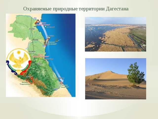 Охраняемые природные территории Дагестана 