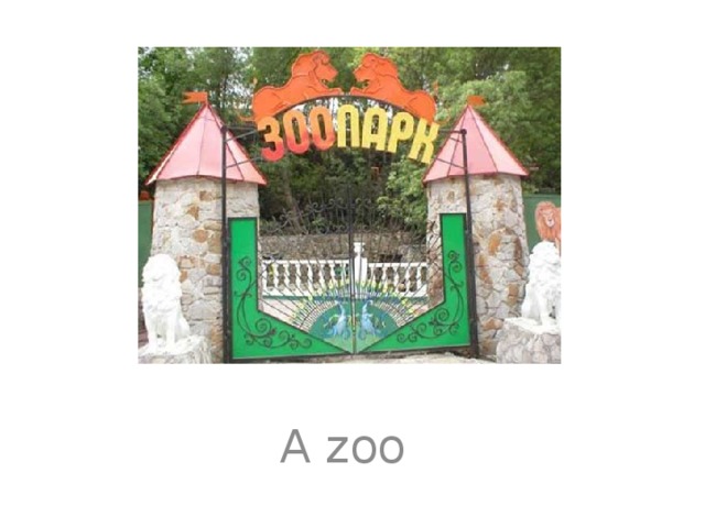A zoo 