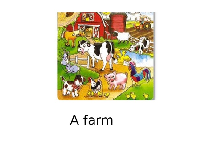 A farm 