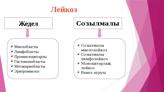 Созылмалы лимфолейкоз презентация