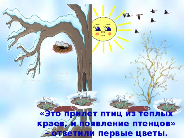 «Это прилет птиц из теплых краев, и появление птенцов» – ответили первые цветы. 