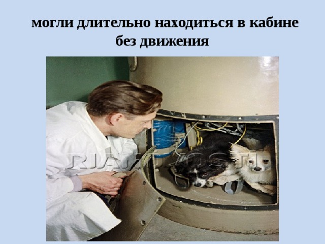  могли длительно находиться в кабине без движения 