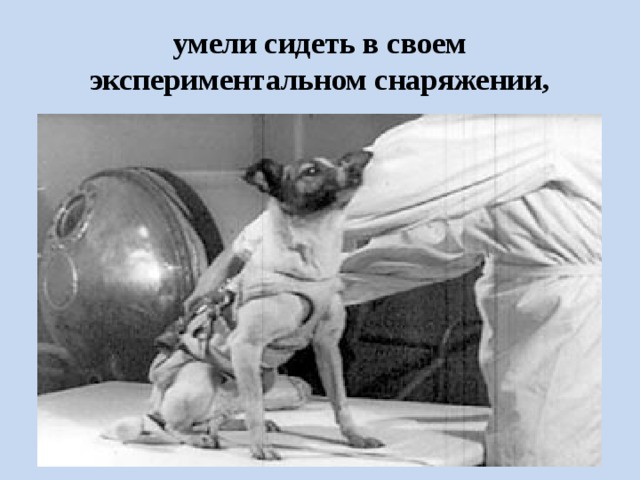 умели сидеть в своем экспериментальном снаряжении, 