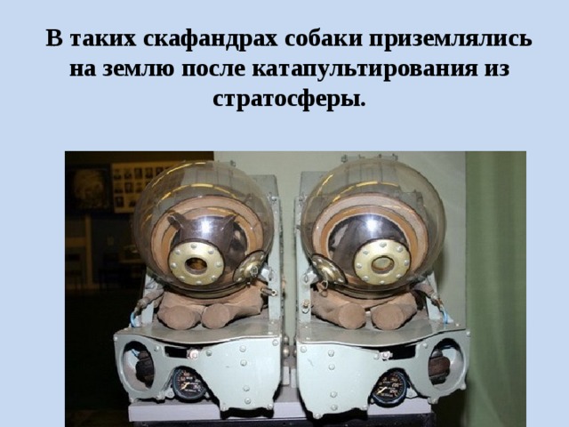 В таких скафандрах собаки приземлялись на землю после катапультирования из стратосферы. 