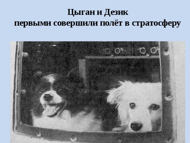 Цыган и Дезик  первыми совершили полёт в стратосферу 