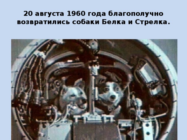 20 августа 1960 года благополучно возвратились собаки Белка и Стрелка. 