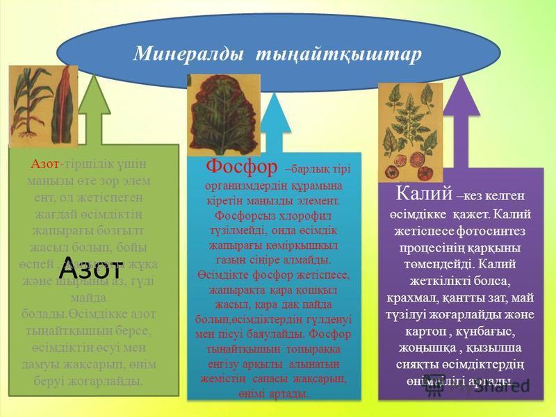 Минералды заттар презентация