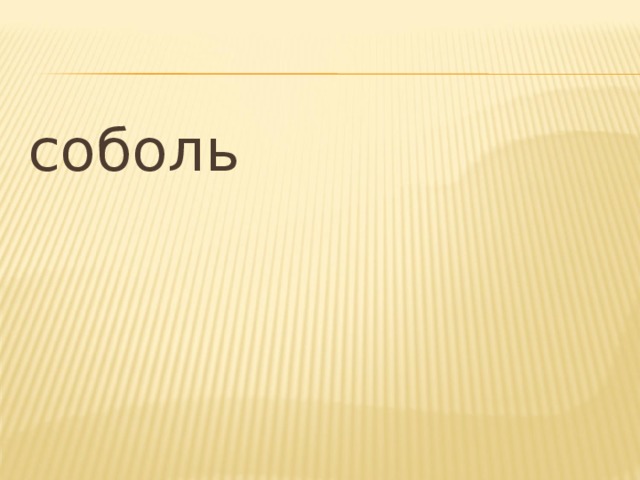 соболь 