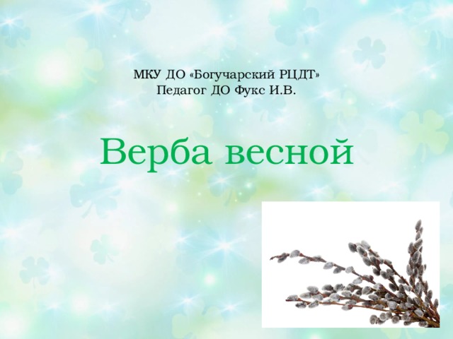 МКУ ДО «Богучарский РЦДТ»  Педагог ДО Фукс И.В. Верба весной 