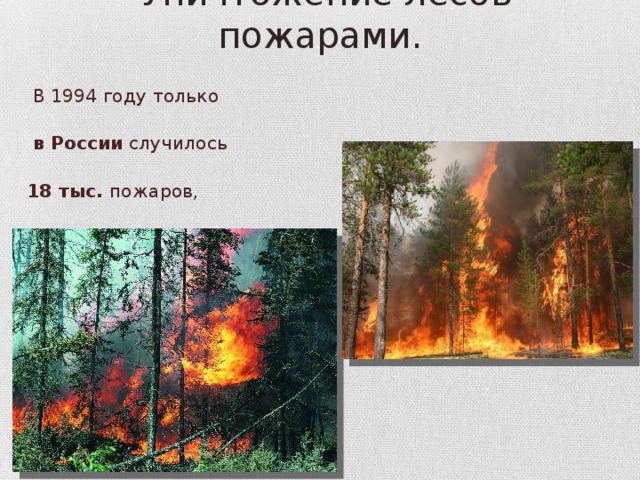 Уничтожение лесов пожарами.   В 1994 году только  в России случилось  18 тыс. пожаров,  в результате которых сгорело 640 тыс. га леса ! 