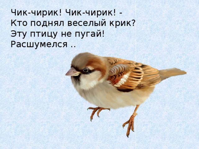 Чик-чирик! Чик-чирик! -  Кто поднял веселый крик?  Эту птицу не пугай!  Расшумелся .. 