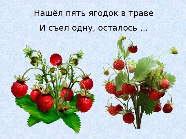 Нашёл пять ягодок в траве  И съел одну, осталось ... 