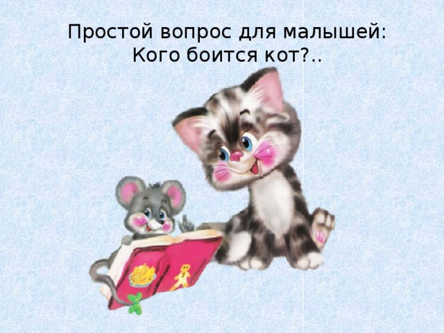 Простой вопрос для малышей:  Кого боится кот?.. 