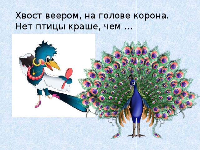 Хвост веером, на голове корона.  Нет птицы краше, чем ... 