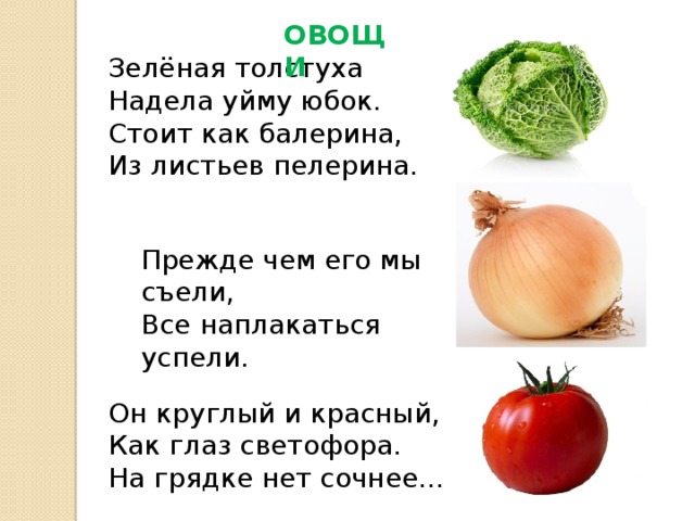 ОВОЩИ Зелёная толстуха Надела уйму юбок. Стоит как балерина, Из листьев пелерина. Прежде чем его мы съели, Все наплакаться успели. Он круглый и красный, Как глаз светофора. На грядке нет сочнее… 