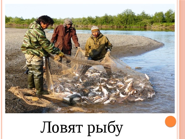 Ловят рыбу 