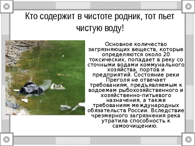 Кто содержит в чистоте родник, тот пьет чистую воду! Основное количество загрязняющих веществ, которые определяются около 20 токсических, попадает в реку со сточными водами коммунального хозяйства, портов и предприятий. Состояние реки Преголя не отвечает требованиям, предъявляемым к водоемам рыбохозяйственного и хозяйственно-питьевого назначения, а также требованиям международных обязательств России. Вследствие чрезмерного загрязнения река утратила способность к самоочищению. 