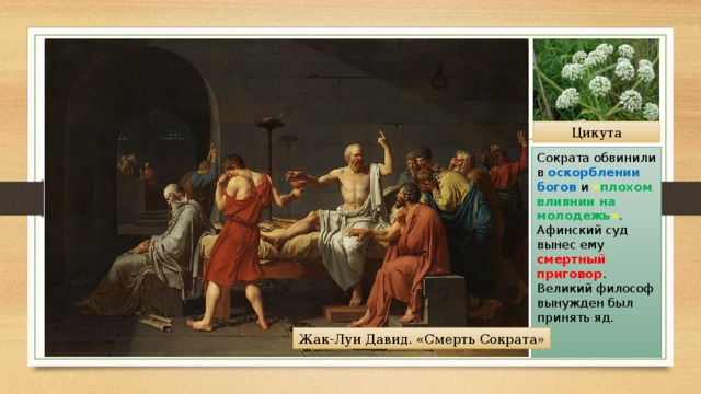 Цикута Сократа обвинили в оскорблении богов и « плохом влиянии на молодежь » . Афинский суд вынес ему смертный приговор . Великий философ вынужден был принять яд. Жак-Луи Давид. «Смерть Сократа» 