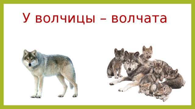 На площадке молодняка играли 5. Дикие животные волк для детей. Волчонок для детей. Волчица с волчатами. Волк и Волчонок для детей.