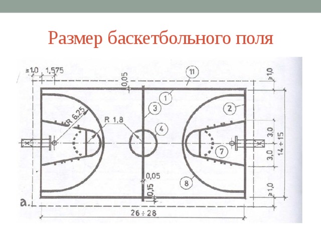 Размеры баскетбольной. Баскетбольное поле Размеры.