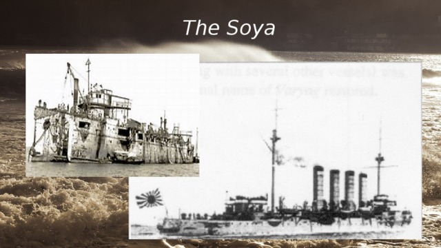 The Soya 