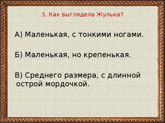 3. Как выглядела Жулька?    А) Маленькая, с тонкими ногами.  Б) Маленькая, но крепенькая.  В) Среднего размера, с длинной острой мордочкой. 