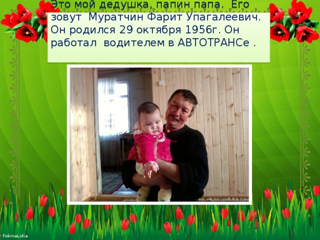          Это мой дедушка, папин папа. Его зовут Муратчин Фарит Упагалеевич. Он родился 29 октября 1956г. Он работал водителем в АВТОТРАНСе .   
