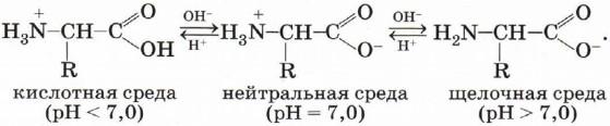 План урока по химии 10 класс аминокислоты