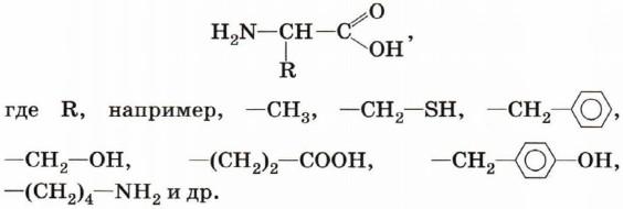 План урока по химии 10 класс аминокислоты