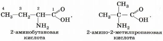 План урока по химии 10 класс аминокислоты