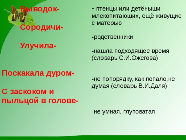 Почему выводки не было птенцов рассказ выскочка