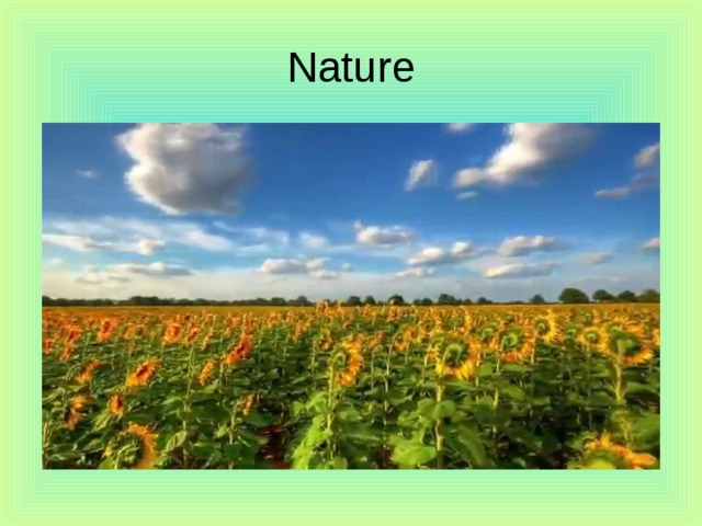 Nature 