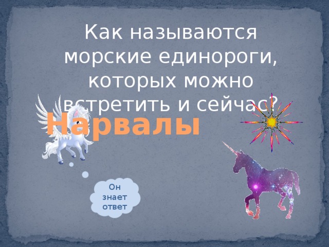 Как называются морские единороги, которых можно встретить и сейчас? Нарвалы Он знает ответ